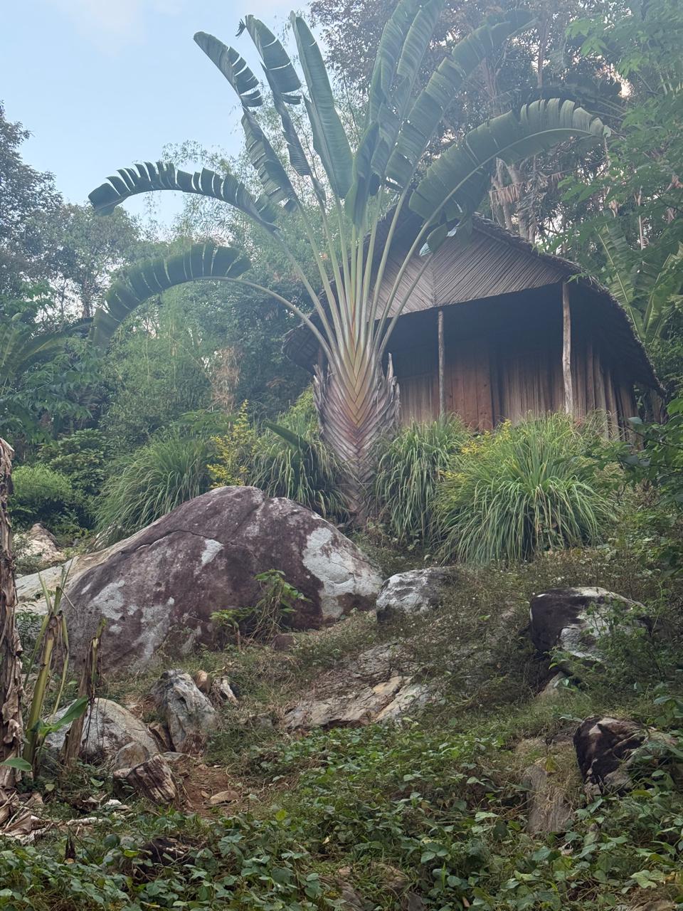 Das Land in Doany — Foto von Béa